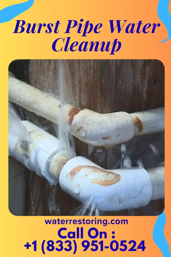 Burst Pipe Water Cleanup in University of Pittsburgh Johnstown, PA