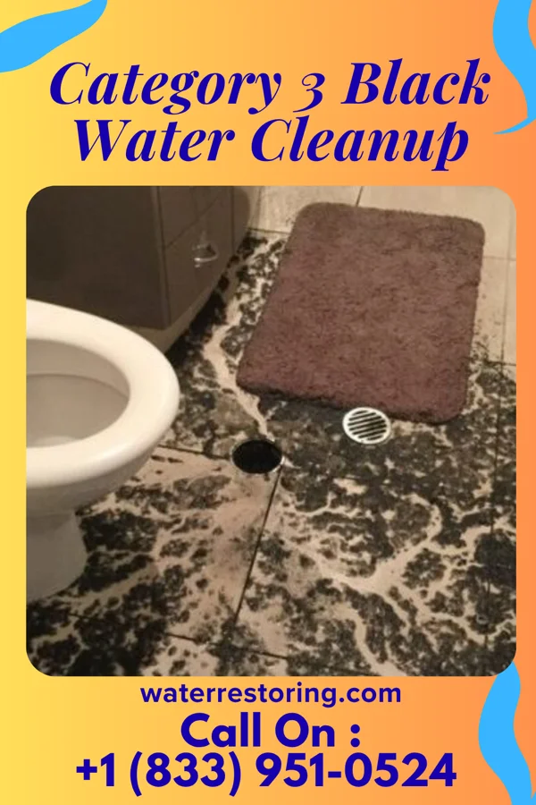 Category 3 Black Water Cleanup in University of Pittsburgh Johnstown, PA
