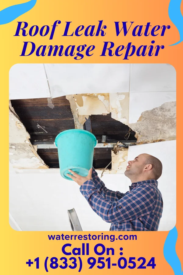 Roof Leak Water Damage Repair in University of Pittsburgh Johnstown, PA